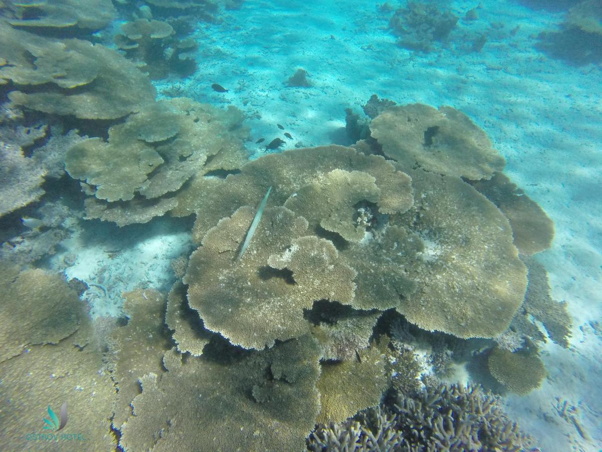 Ostrov Villa Ukulhas Island Bagian luar foto