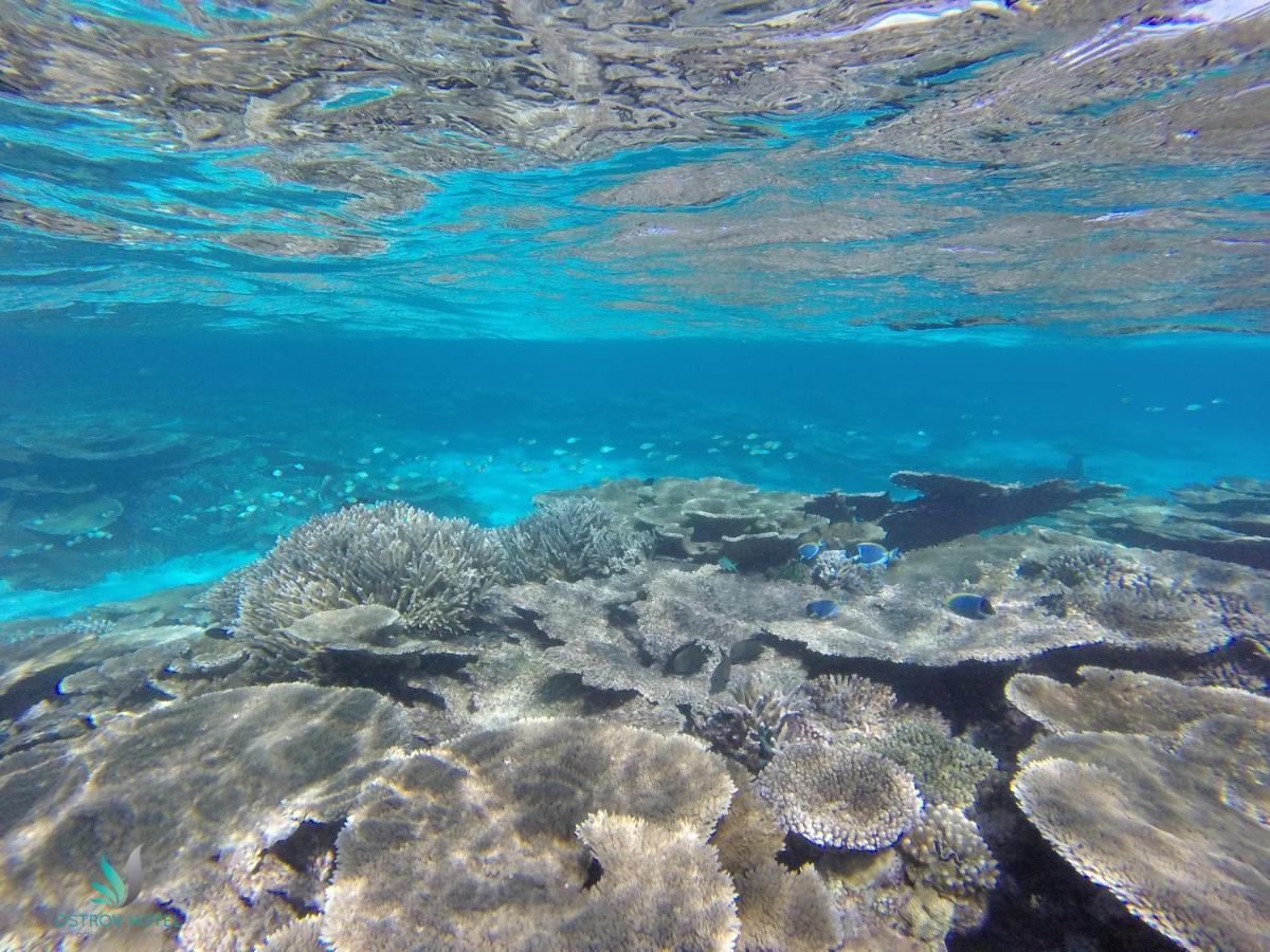 Ostrov Villa Ukulhas Island Bagian luar foto