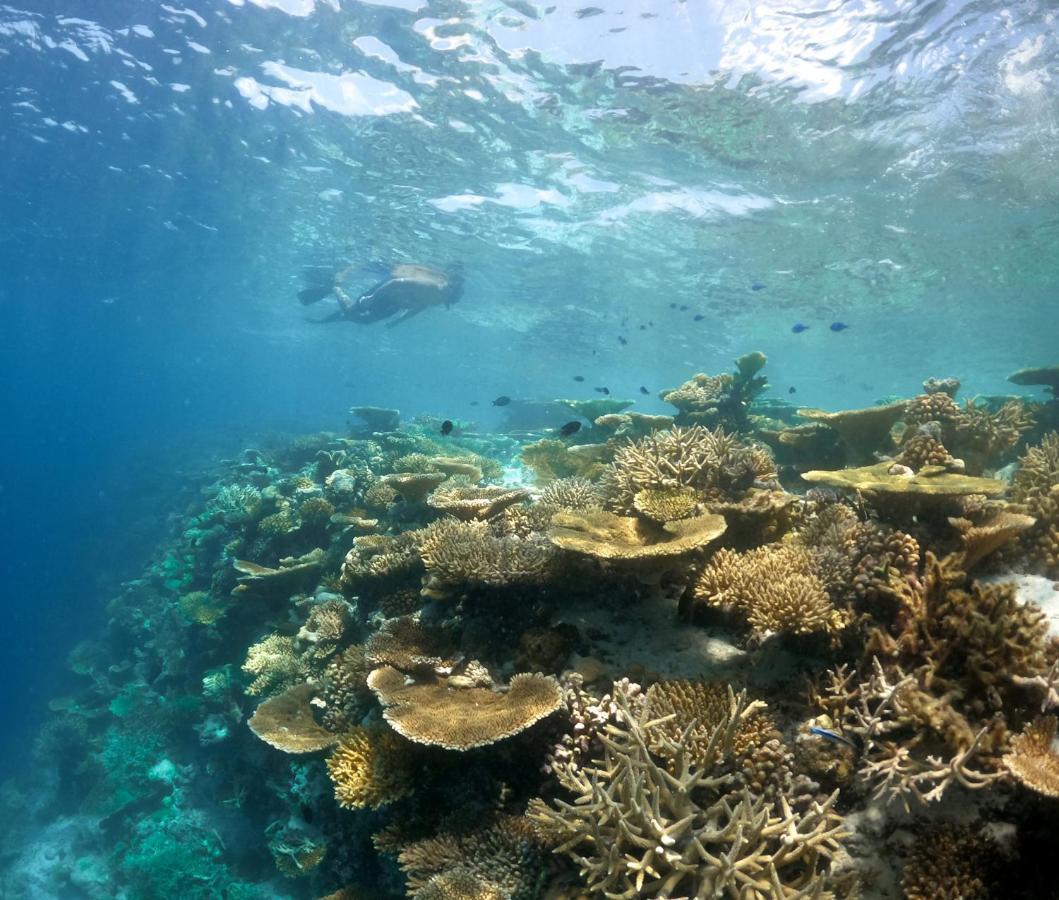 Ostrov Villa Ukulhas Island Bagian luar foto